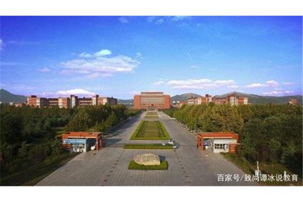 中国农业最好的大学(荷兰农业最好的大学)