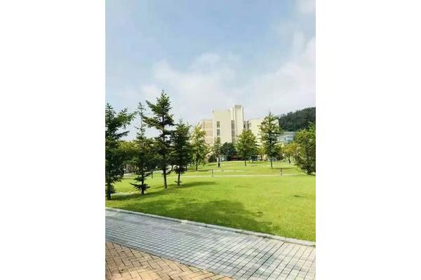 关于韩国世宗大学和庆熙大学(申请韩国留学需要哪些步骤)