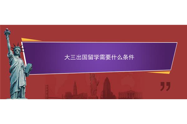 留学有什么要求(国内留学有什么要求)?