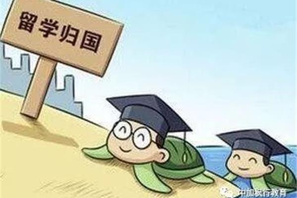 国内大学退学留学可以吗(上海贤达SQA留学办公室)