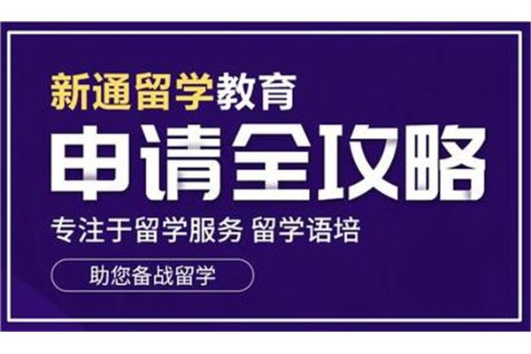 留学签证代理多少钱(留学代理帮忙办签证吗)