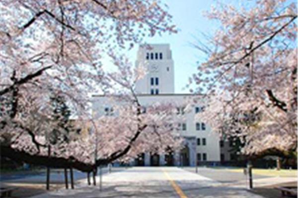 东京艺术大学留学费用(东京齿科大学留学费用)