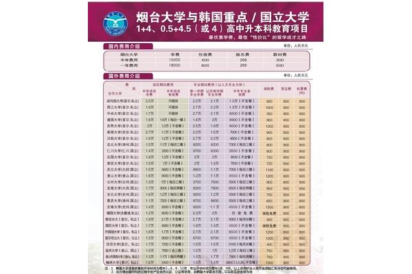 韩国留学签证费用标准(韩国留学签证一年费用标准)