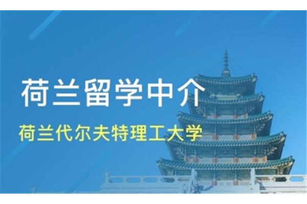 荷兰留学中介费用(荷兰留学十大中介)