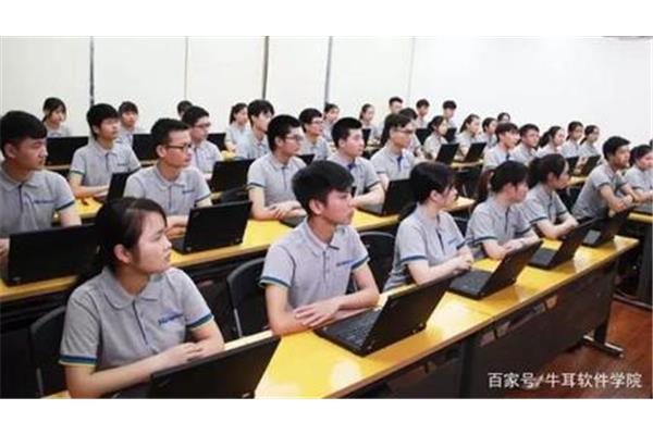 初中学生学什么好