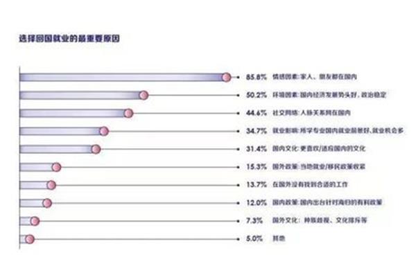 去美国留学后可以去找工作吗,荷兰毕业生好找工作吗?