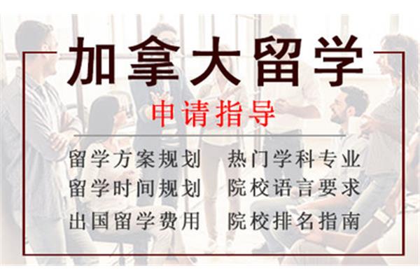 自费出国留学有什么要求,自费出国留学暂行规定