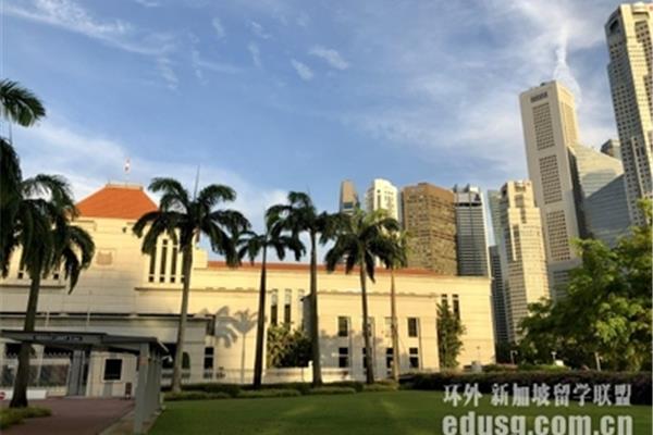 高三新加坡留学条件和大学新加坡留学条件