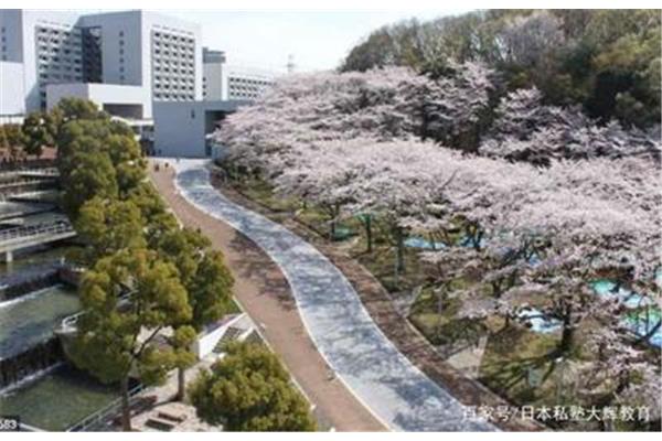 怎么样上日本大学