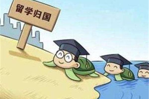 深圳留学生落户到哪