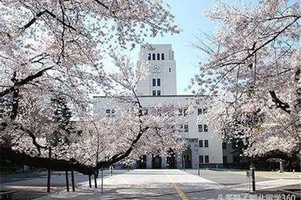 各阶段日本留学基本条件,日本TOP5名校申请条件