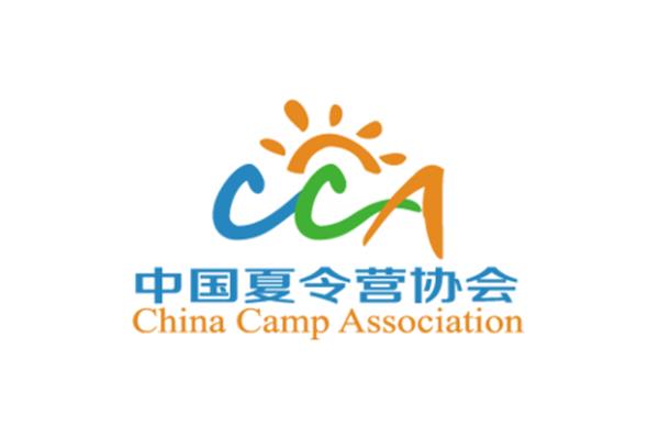 电池cca是什么意思?CCA是什么意思?