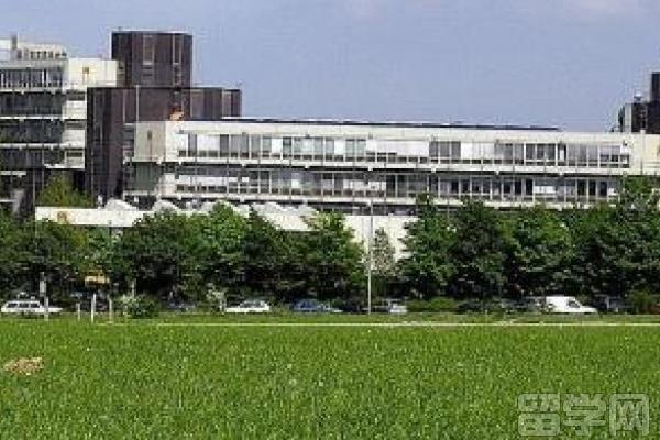 帕德博恩大学国际预科学院和帕德博恩大学预科学院怎么样?