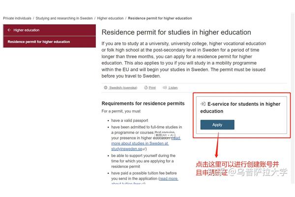 国际学生签证办理,在线学习签证办理