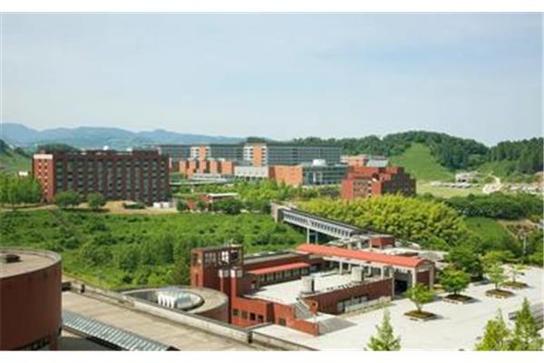 日本金泽大学,日本国内金泽大学