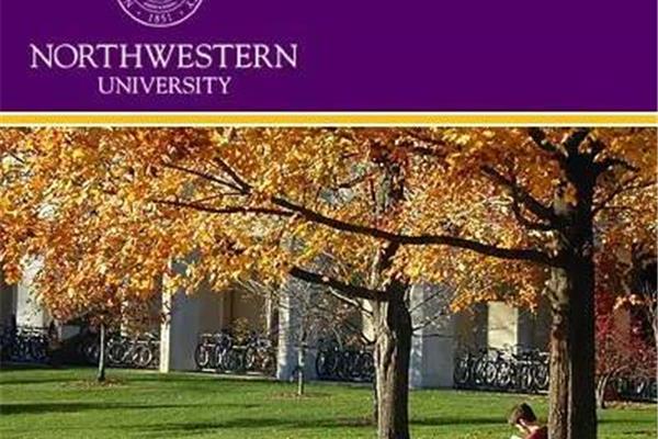 northwestern university