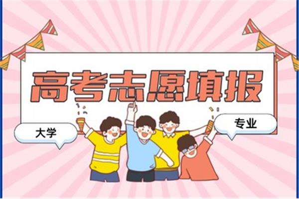 高考中外合作办学的优势和劣势,大学中外合作办学的优势和劣势