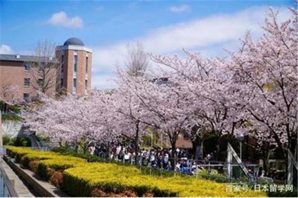 青山大学在日本排名第一,青山大学在世界排名第二