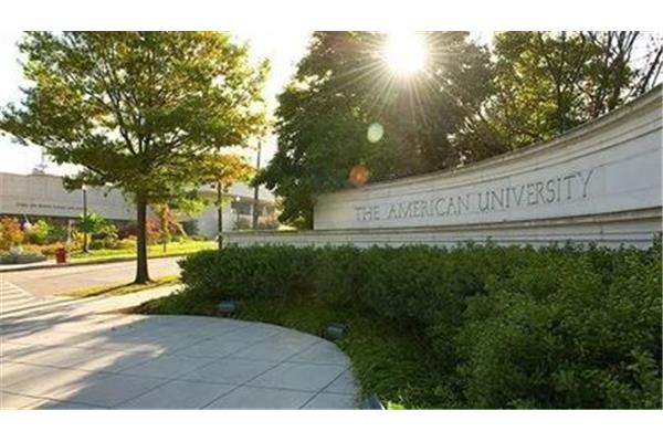 american university