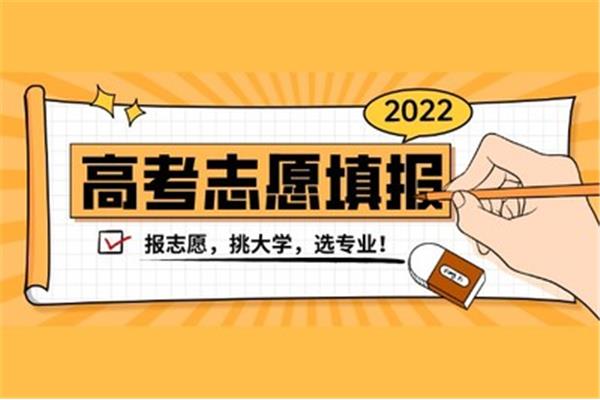 适合女生的专业就业前景好,2024年适合女生的专业