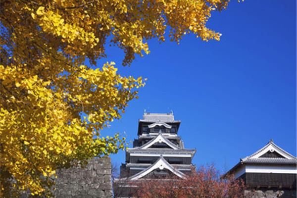 日本熊本大学,日本国内熊本大学