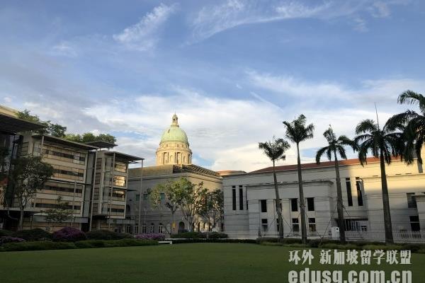 环境艺术专业出国留学好吗?新加坡留学有临床医学专业吗?