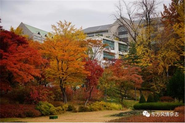 梨花女子大学、淑明女子大学qs世界排名