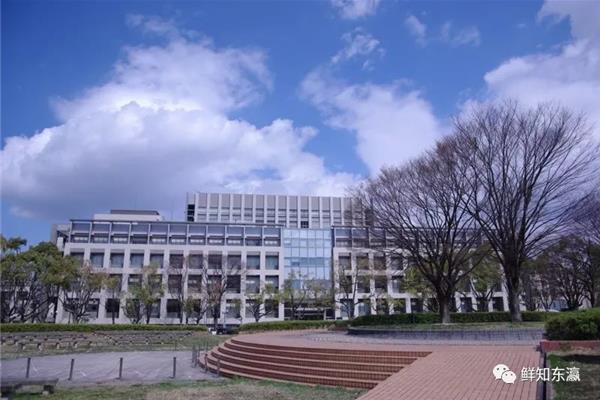 日本著名大学排名前十,红小猪传播