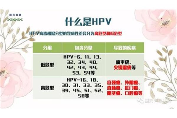 阳性hpv是什么意思,宫颈hpv是什么意思