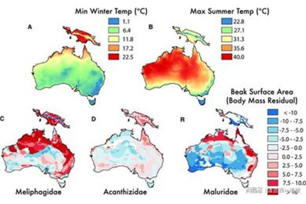 澳大利亚冬天最冷多少度