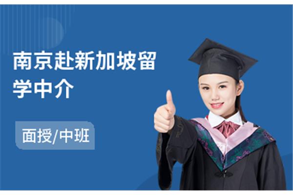 南京留学中介公司,中介留学中介费