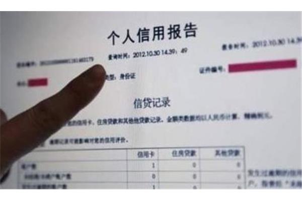 印度尼西亚签证需要看信用报告吗?出国签证要查个人征信吗?