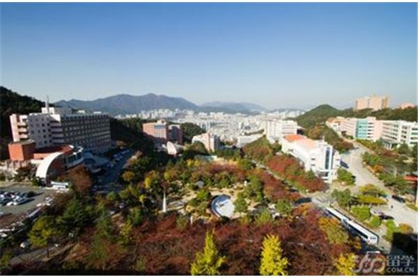 韩国釜山大学留学条件,韩国留学要求