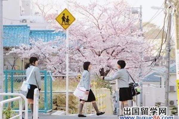 如何去日本留学?如何规划去日本读研究生?