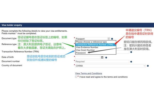 签证发放编号在哪里