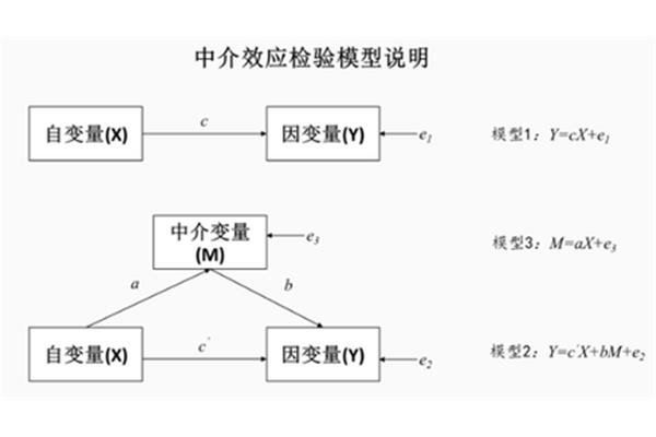 如何分析模型的中介效应和监管效果?