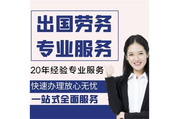 外交官出国工作要交税吗,韩国人出去工作要交多少税?