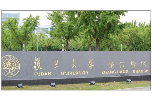 在中国排名前十的大学中,哪些大学是911大学?